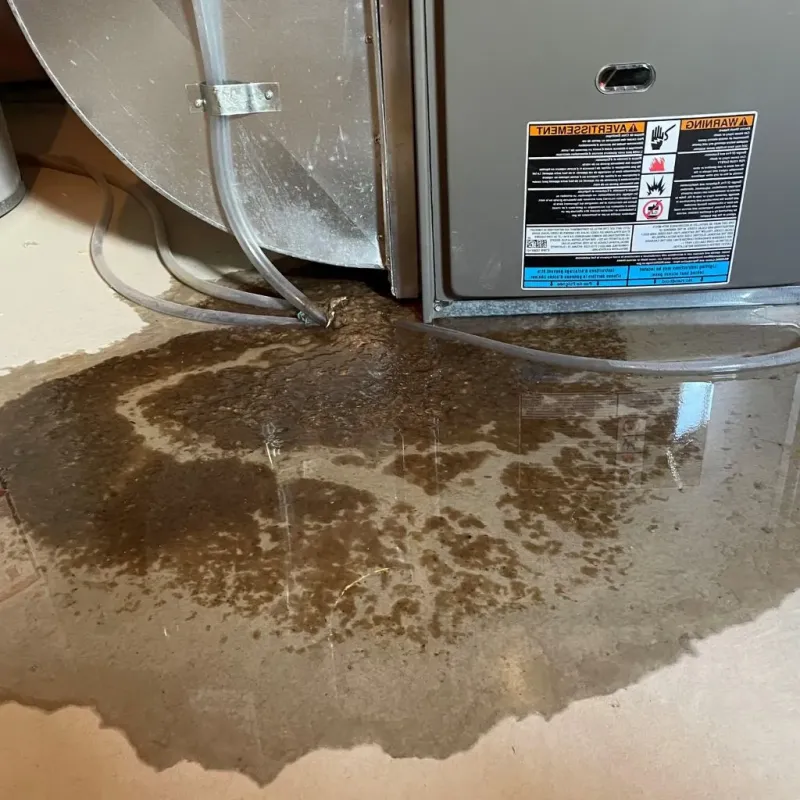 Pipe Burst and Leak Restoration in Surgoinsville, TN