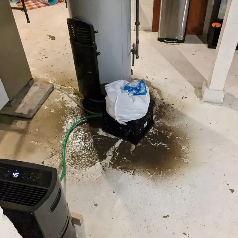 Sewage Backup Cleanup Service in Surgoinsville, TN